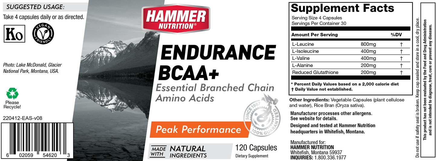 Endurance BCAA +