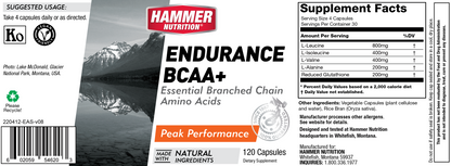 Endurance BCAA+