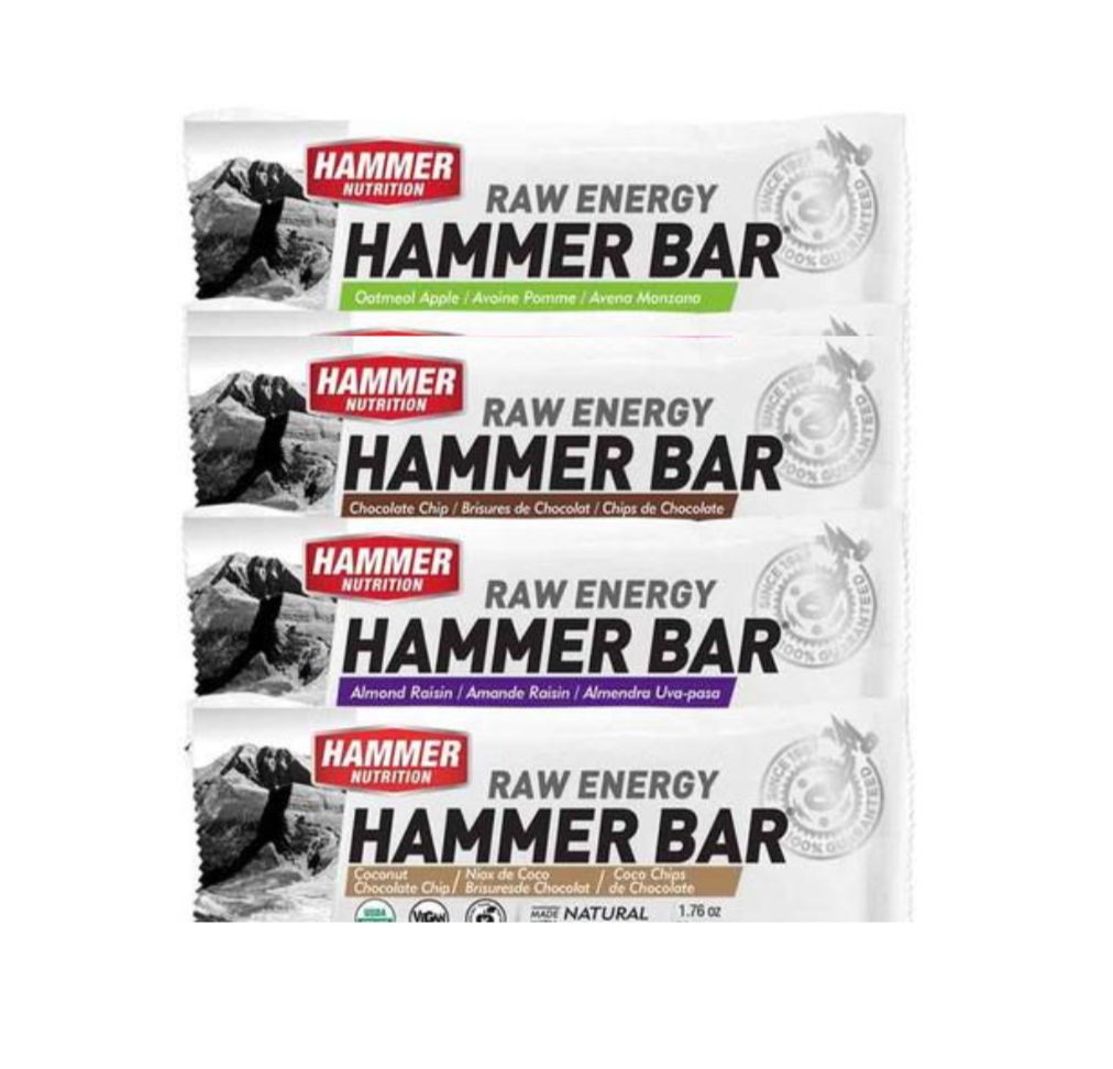 Hammer Energy Bar Sampler - Hammer Nutrition Canada